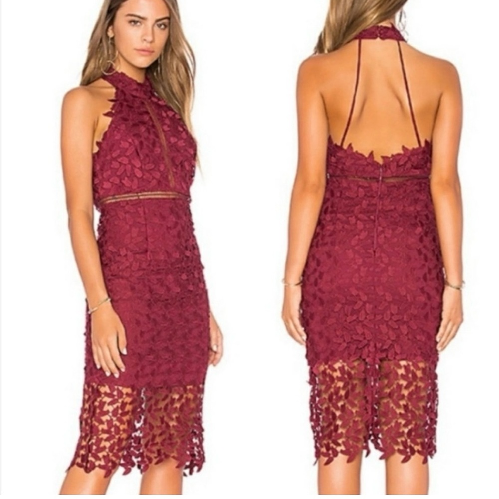 NEW Bardot Gemma lace halter knee length maroon cocktail dress